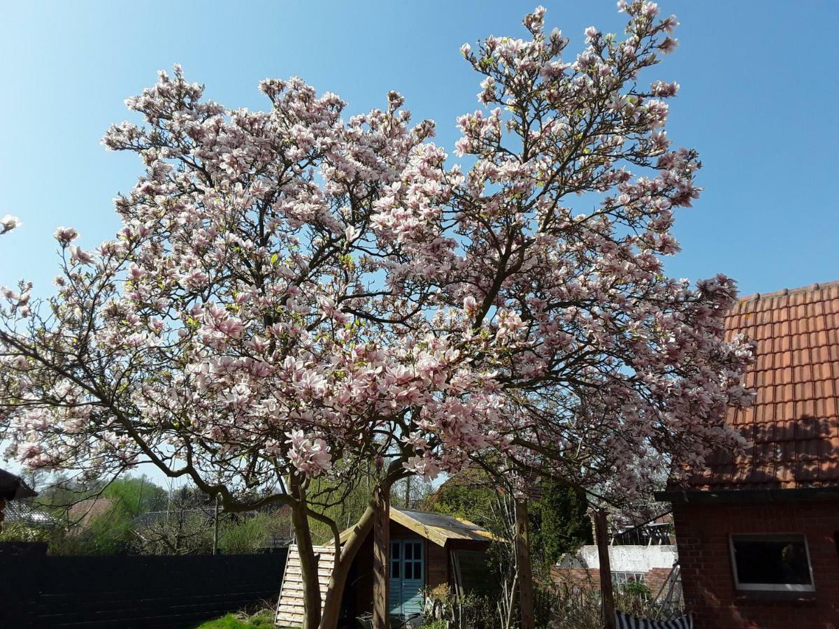 Ferienwohnung Ostfriesland Stapelmoor Bagian luar foto